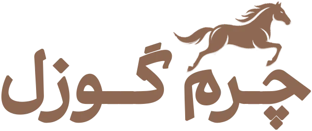 چرم گوزل